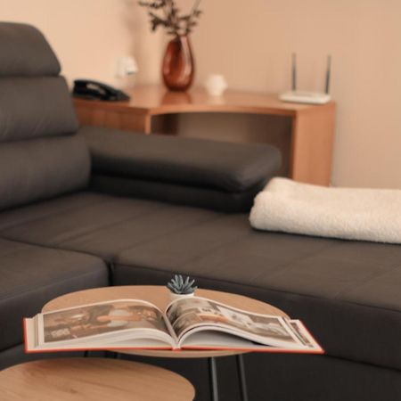 Riverside Apartments Thalia كارلوفي فاري الغرفة الصورة